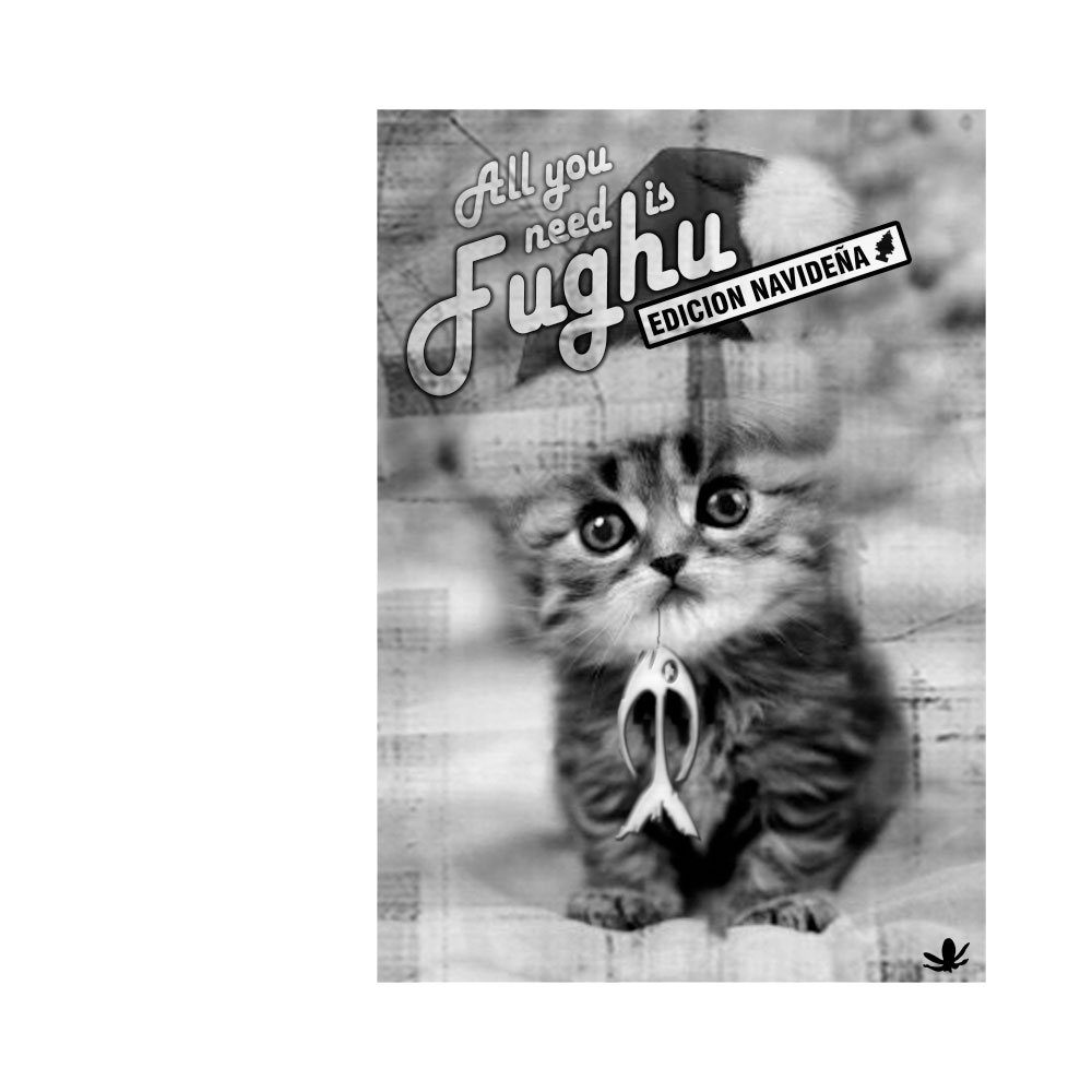 2007 . fughu . imagen